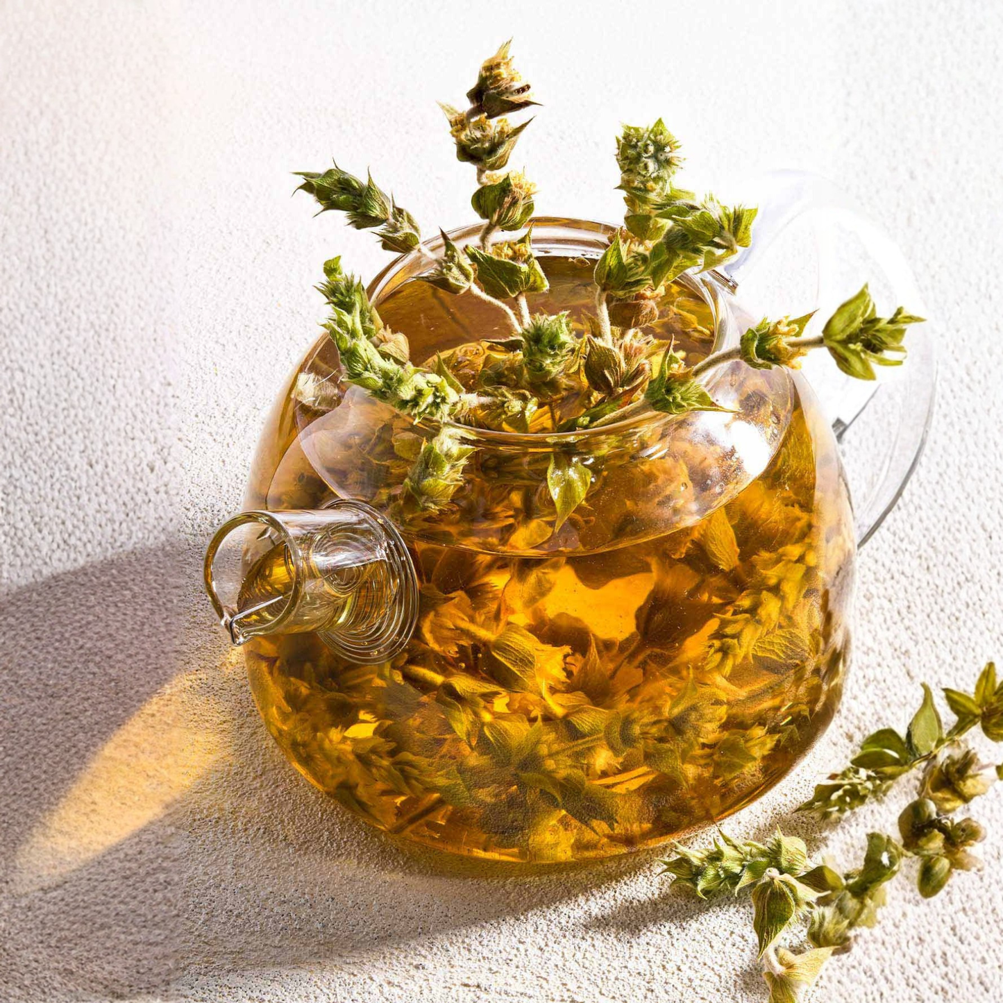 Mount Taygetos Greek Mountain Tea Bunch