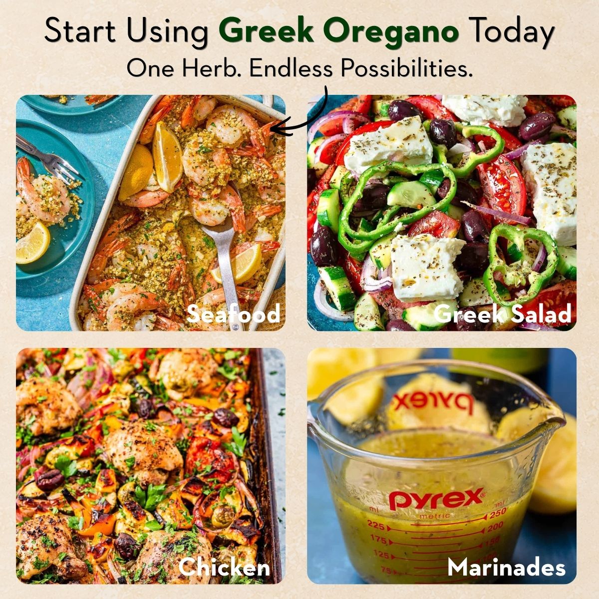 Greek Oregano