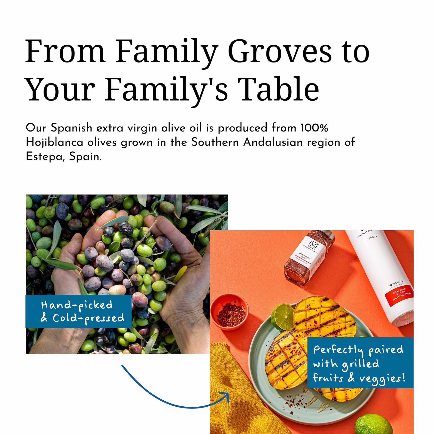 Hojiblanca - Spanish EVOO